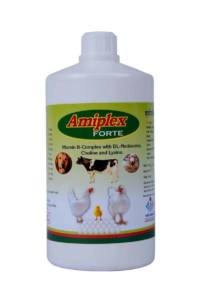 AMIPLEX-FORTE-1-LITER