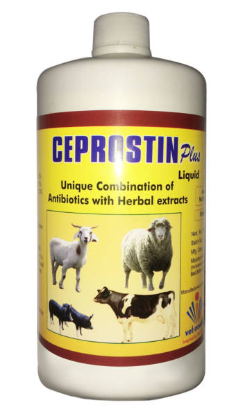 CIPROSTIN-PLUS