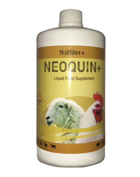 Neoquin