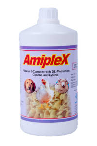 amiplex1